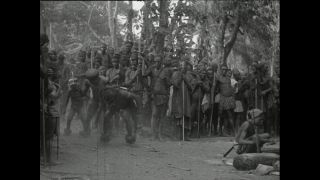 Link to Video | Paul Karl Lieberenz, Kamerun