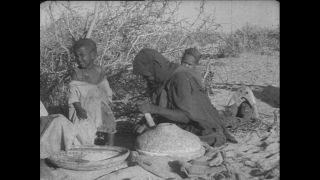 Link to Video | Paul Karl Lieberenz