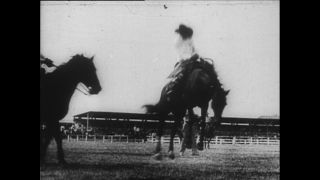 Link zum Video | Paul Lieberenz