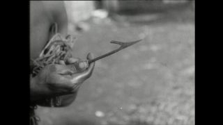 Link to Video | Paul Karl Lieberenz