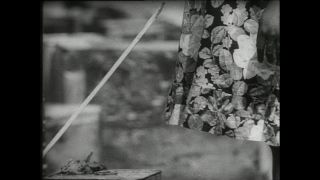 Link zum Video | Paul Lieberenz