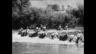 Link to Video | Paul Karl Lieberenz