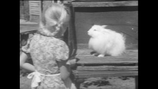 Link zum Video | Baumwollspinnerei, Wolle, Paul Lieberenz, Kulmbach, Nutztier, Deutschland, Weiß, Spinnerei, Angora, Angorakaninchen, Garnindustrie, Textilindustrie, 20. Jahrhundert, Tier, Fabrik, Kaninchen