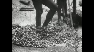 Link to Video | Paul Karl Lieberenz, Kamerun