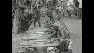 Link zum Video | Paul Lieberenz, Kamerun