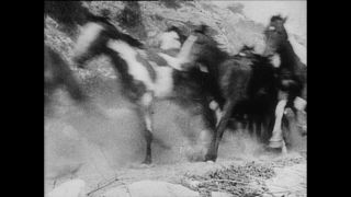 Link zum Video | Paul Lieberenz