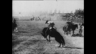 Link zum Video | Paul Lieberenz