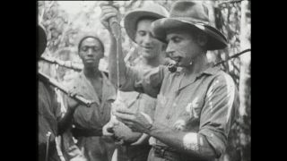 Link to Video | Paul Karl Lieberenz