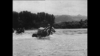 Link zum Video | Paul Lieberenz