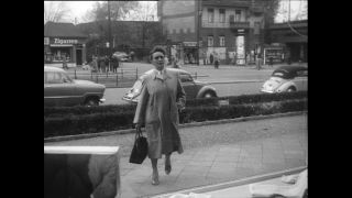 Link to Video | Baumwollspinnerei, wool, Paul Karl Lieberenz, Kulmbach, Germany, silk mill, angora wool, Angora rabbit, yarn industry, textile industry, 20th century, factory