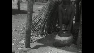 Link zum Video | Paul Lieberenz, Kamerun