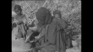 Link zum Video | Paul Lieberenz