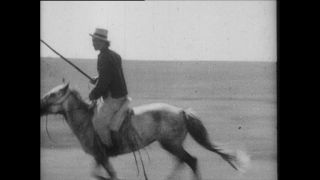 Link to Video | Paul Karl Lieberenz