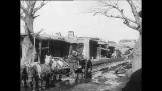 Link to Video | Paul Karl Lieberenz