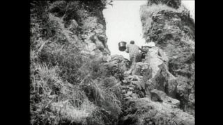 Link to Video | Paul Karl Lieberenz