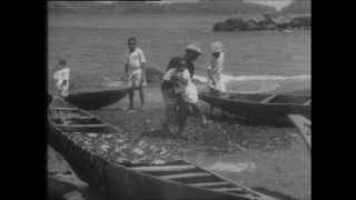 Link to Video | Paul Karl Lieberenz