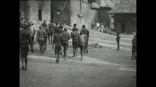 Link to Video | Paul Karl Lieberenz, Kamerun