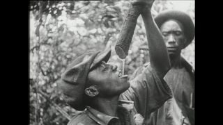 Link to Video | Paul Karl Lieberenz