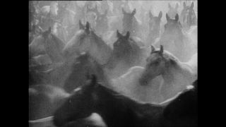 Link zum Video | Paul Lieberenz