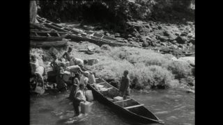 Link to Video | Paul Karl Lieberenz