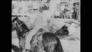 Link zum Video | Paul Lieberenz