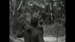 Link to Video | Paul Karl Lieberenz, Kamerun