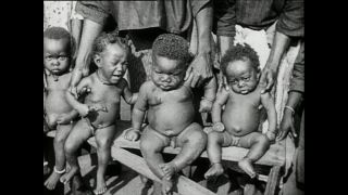 Link zum Video | Paul Lieberenz