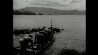 Link to Video | Paul Karl Lieberenz