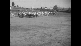 Link to Video | Paul Karl Lieberenz