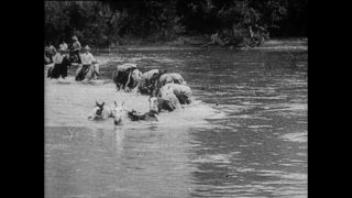 Link zum Video | Paul Lieberenz