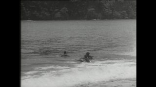 Link to Video | Paul Karl Lieberenz