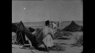 Link to Video | Paul Karl Lieberenz