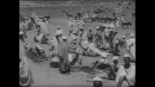 Link to Video | Paul Karl Lieberenz