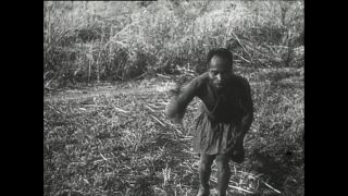 Link zum Video | Paul Lieberenz, Kamerun