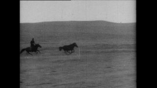 Link to Video | Paul Karl Lieberenz