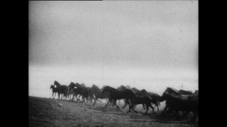 Link zum Video | Paul Lieberenz