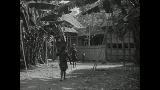 Link to Video | Paul Karl Lieberenz, Kamerun