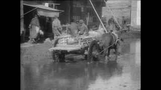 Link to Video | Paul Karl Lieberenz