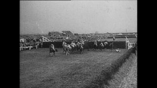 Link to Video | Paul Karl Lieberenz