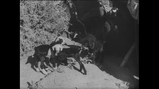 Link to Video | Paul Karl Lieberenz