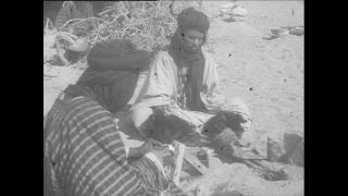 Link to Video | Paul Karl Lieberenz