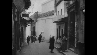 Link zum Video | Paul Lieberenz