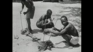 Link to Video | Paul Karl Lieberenz