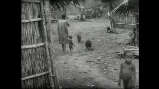 Link zum Video | Paul Lieberenz