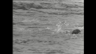 Link zum Video | Paul Lieberenz