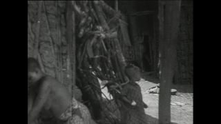 Link to Video | Paul Karl Lieberenz, Kamerun