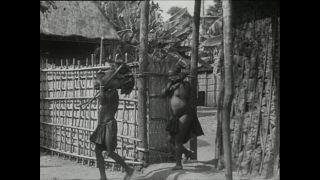 Link zum Video | Paul Lieberenz, Kamerun