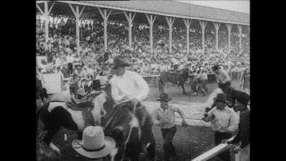 Link to Video | Paul Karl Lieberenz