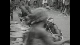 Link zum Video | Paul Lieberenz, Kamerun