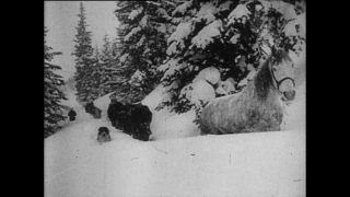 Link to Video | Paul Karl Lieberenz